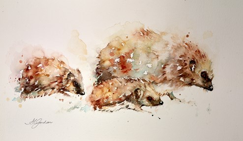 Out with Mother- Hedgehog Family by Amanda Gordon - Original on Paper